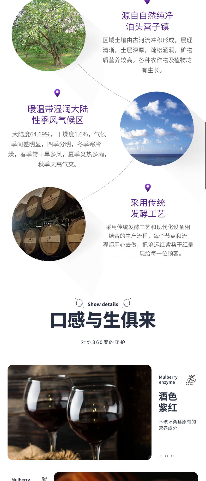 滄運紅紫葚干紅原漿