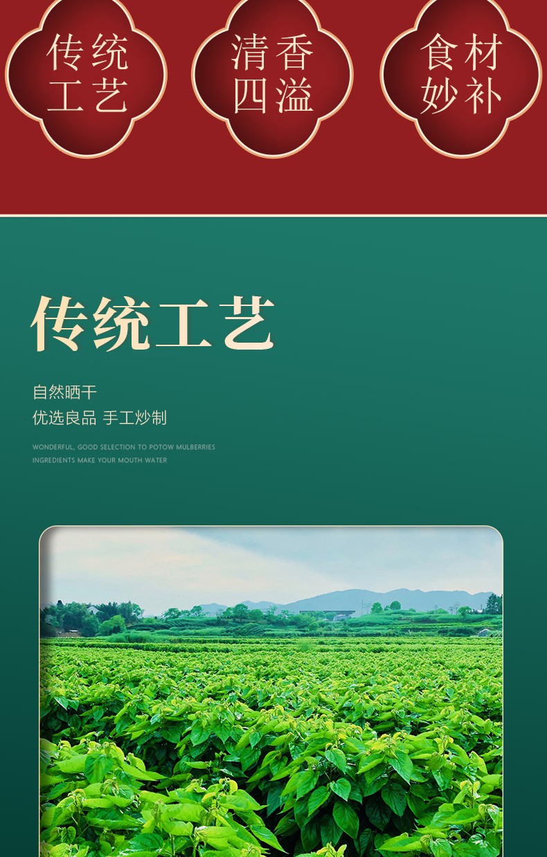 桑茶