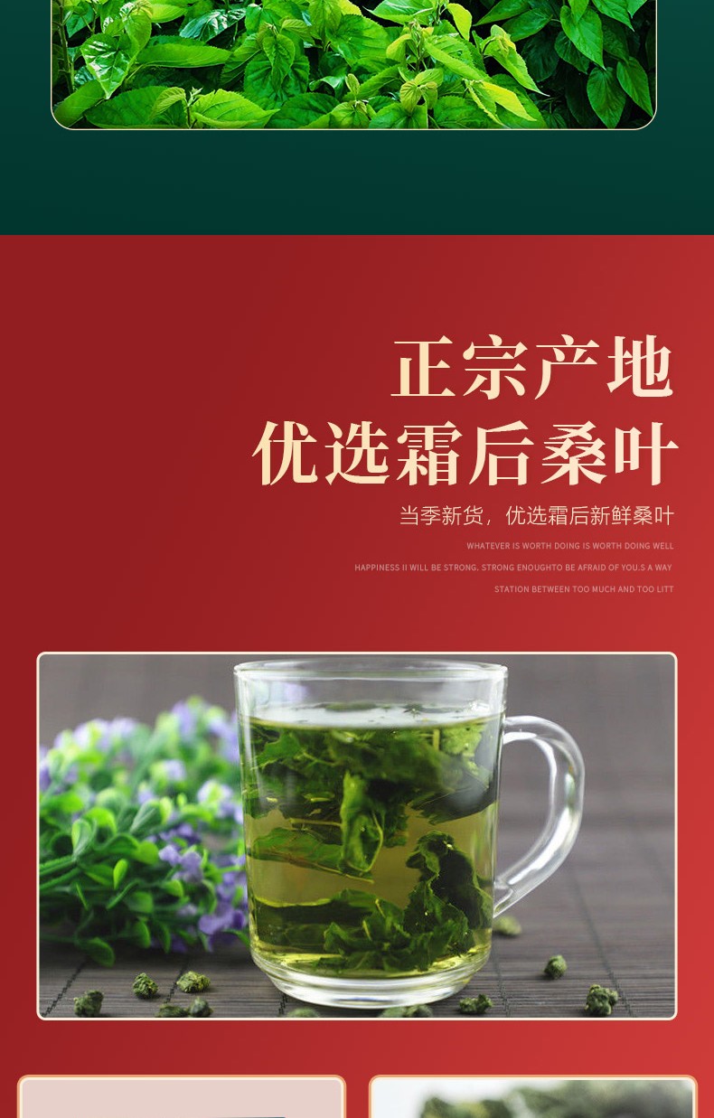 桑茶