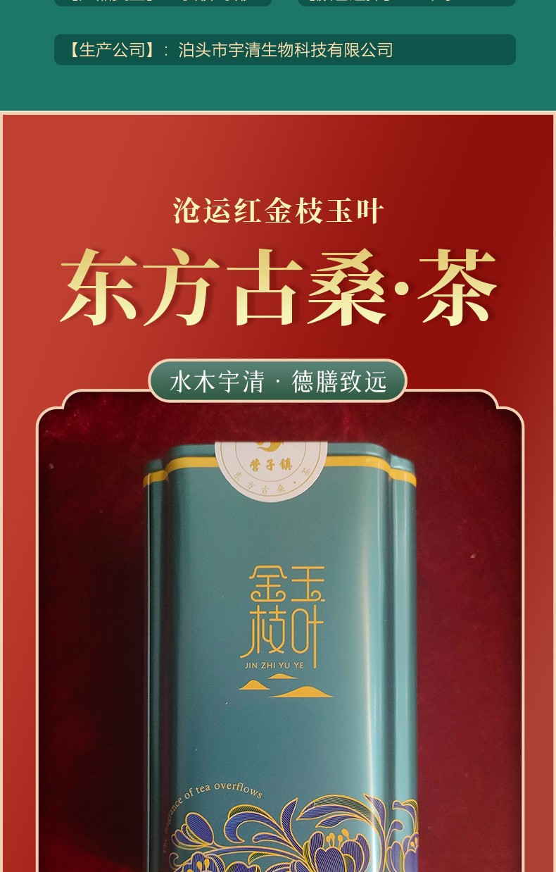 桑茶
